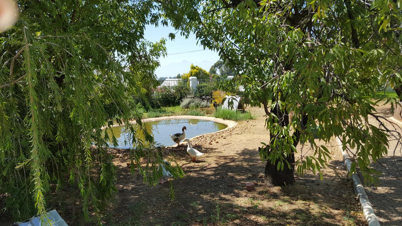 Merindol Manor Riebeek-West Dış mekan fotoğraf